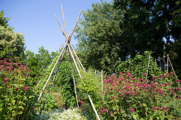 History of McMenamins Gardens