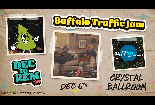 Buffalo Traffic Jam