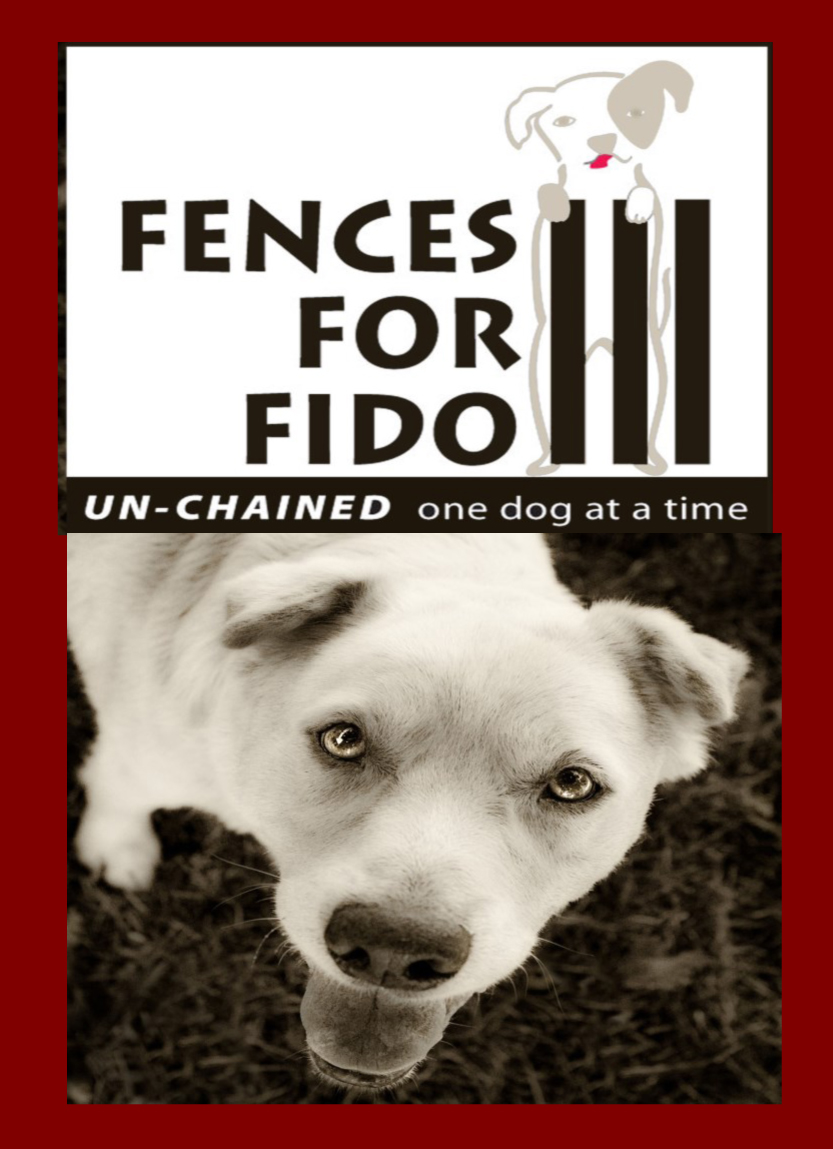 Fences For Fido Bingo Fundraiser 