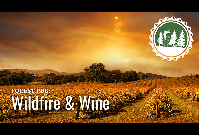 Wildfire & Wine: From Vineyard to Palate