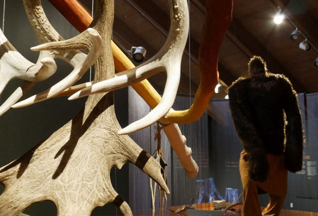 Sasquatch: Indigenous Perspectives