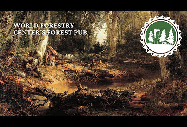 Painted Forests, Hidden Data