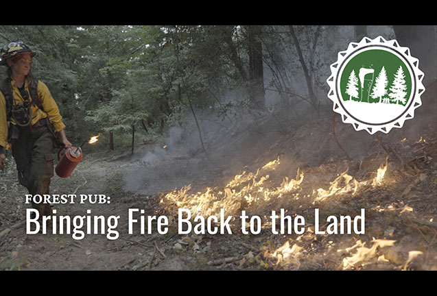 Bringing Fire Back to the Land