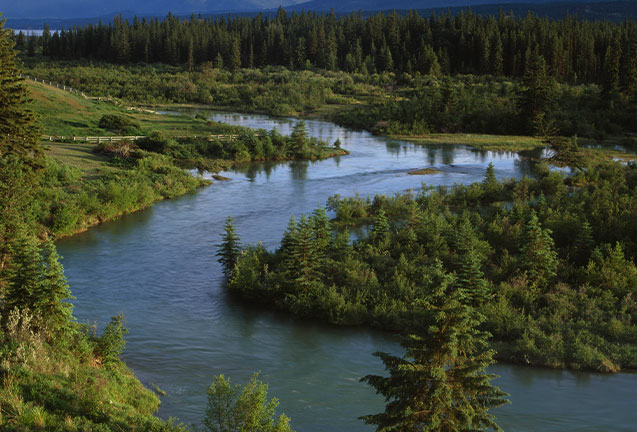 Healing the Big River: Salmon Dreams and the Columbia River Treaty