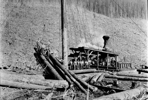 St. Paul & Tacoma Lumber Company: 1888-1958 