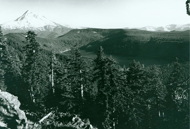From Forest to Faucet: How the Bull Run Watershed Built Portland 