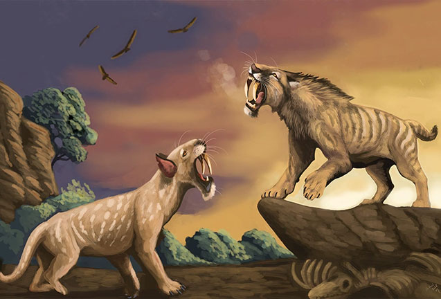 OMSI Science Pub: Nature’s Copycat: Convergent Evolution Throughout Time