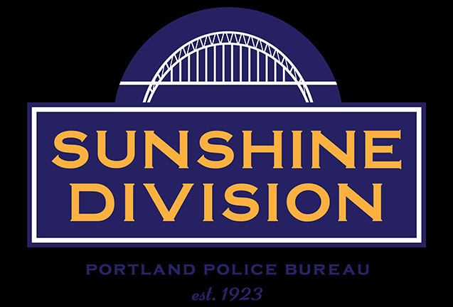 Sunshine Division presents