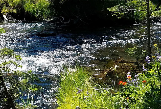 Stink Water or Mountain Spring Water: A Century of Bend’s Water System 