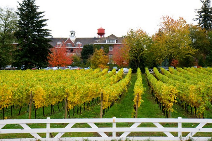 Edgefield Winery