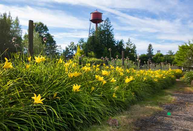 History of Edgefield Gardens