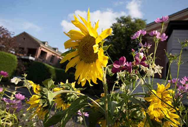 Grand Lodge Garden Experience