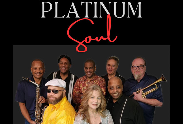 Platinum Soul